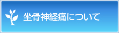 坐骨神経痛について